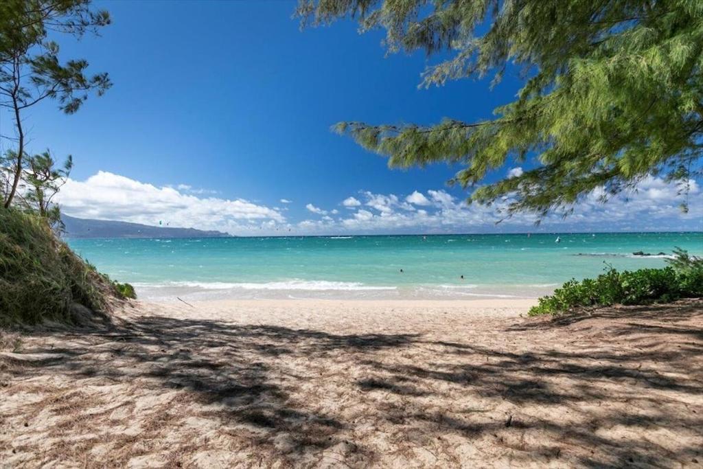 Unit 4 Maui Ohana Modern Studio Wailuku Εξωτερικό φωτογραφία